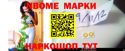 индика Обь