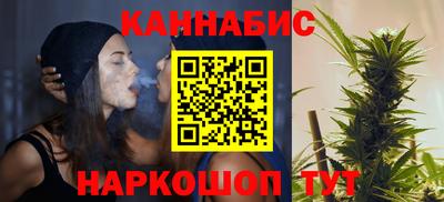 индика Обь