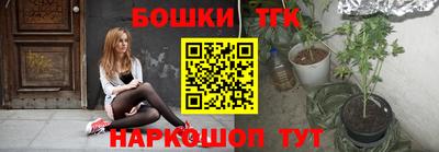 индика Обь