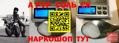 индика Обь