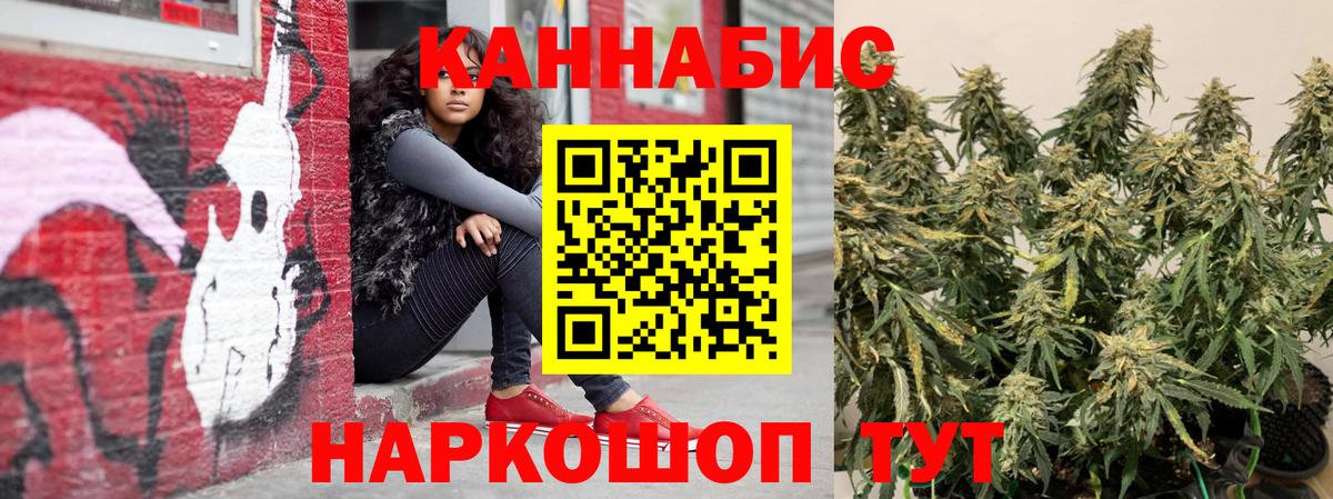 Каннабис VHQ Сунжа